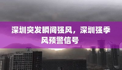 深圳突发瞬间强风，深圳强季风预警信号 