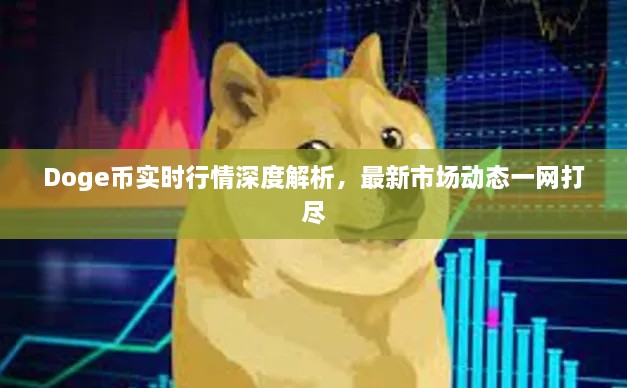 Doge币实时行情深度解析，最新市场动态一网打尽