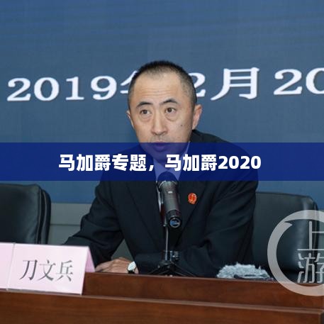 马加爵专题，马加爵2020 