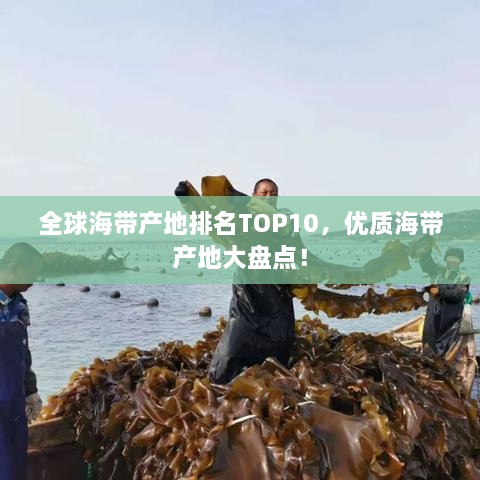 全球海带产地排名TOP10，优质海带产地大盘点！