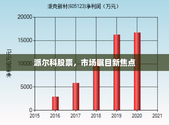 派尔科股票，市场瞩目新焦点