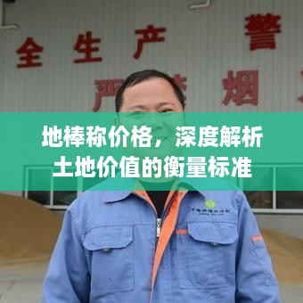 地棒称价格，深度解析土地价值的衡量标准