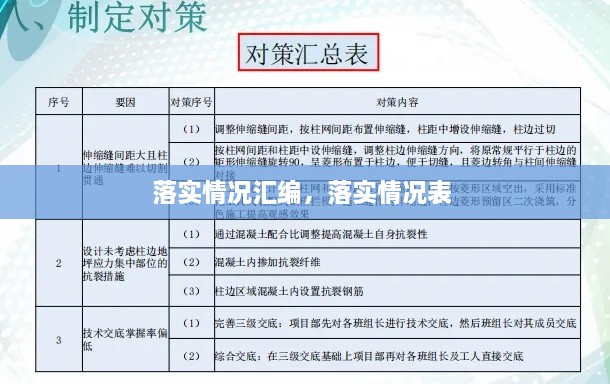 落实情况汇编，落实情况表 