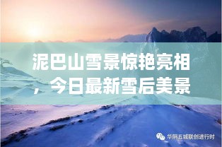 泥巴山雪景惊艳亮相，今日最新雪后美景报道！