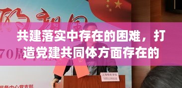 共建落实中存在的困难，打造党建共同体方面存在的问题 