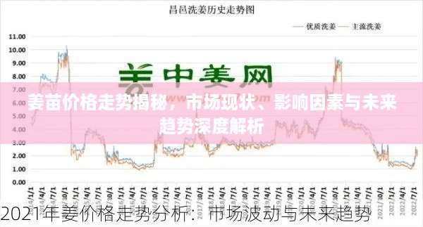 姜苗价格走势揭秘，市场现状、影响因素与未来趋势深度解析