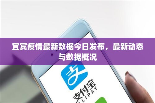 宜宾疫情最新数据今日发布，最新动态与数据概况