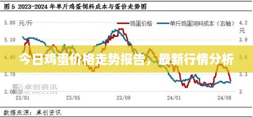 今日鸡蛋价格走势报告，最新行情分析