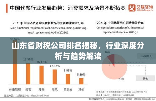 山东省财税公司排名揭秘，行业深度分析与趋势解读