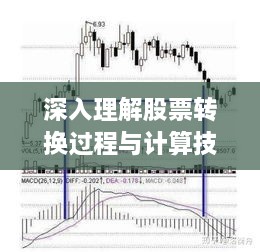 深入理解股票转换过程与计算技巧