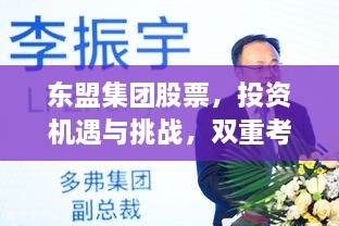 东盟集团股票，投资机遇与挑战，双重考量不容错过