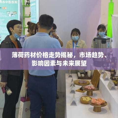 薄荷药材价格走势揭秘，市场趋势、影响因素与未来展望