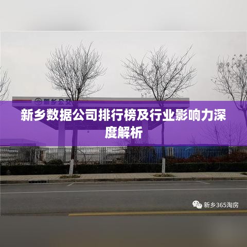 新乡数据公司排行榜及行业影响力深度解析