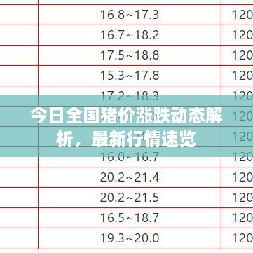 今日全国猪价涨跌动态解析，最新行情速览