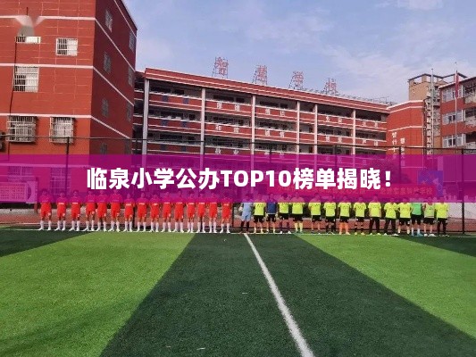 临泉小学公办TOP10榜单揭晓！