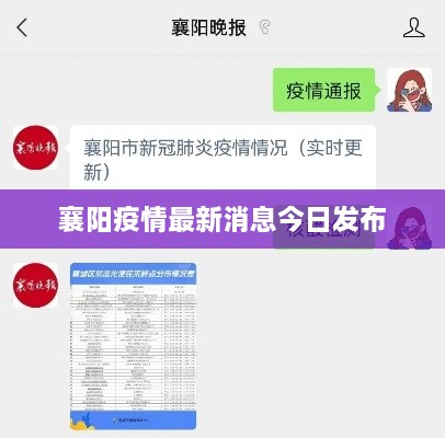 襄阳疫情最新消息今日发布