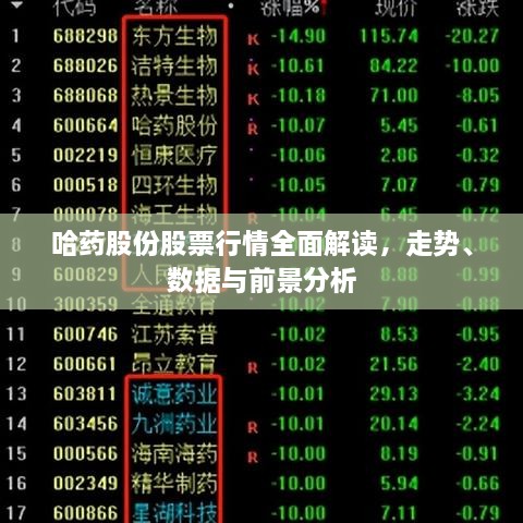 哈药股份股票行情全面解读，走势、数据与前景分析