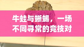 牛蛙与蜥蜴，一场不同寻常的竞技对决