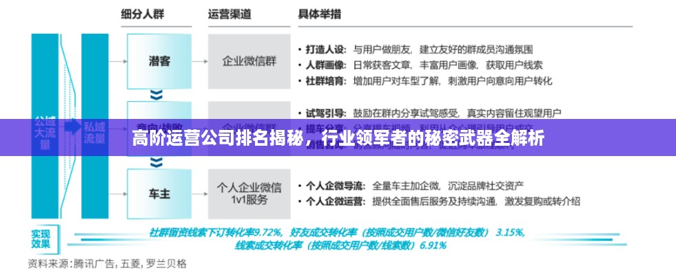 高阶运营公司排名揭秘，行业领军者的秘密武器全解析