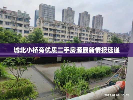 城北小桥旁优质二手房源最新情报速递