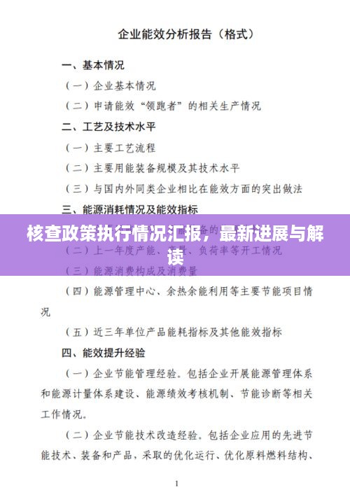 核查政策执行情况汇报，最新进展与解读