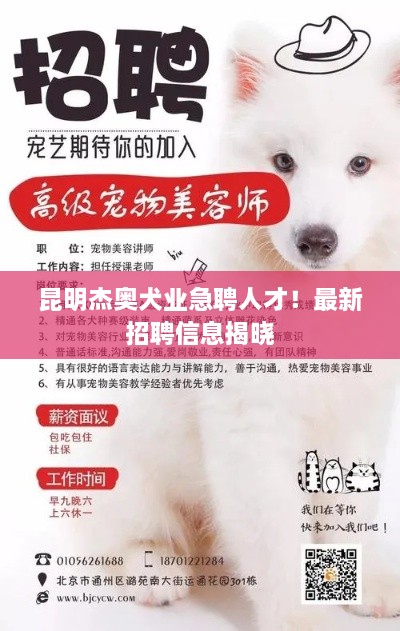 昆明杰奥犬业急聘人才！最新招聘信息揭晓