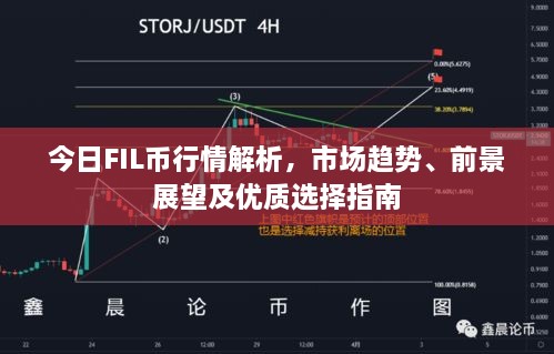 今日FIL币行情解析，市场趋势、前景展望及优质选择指南