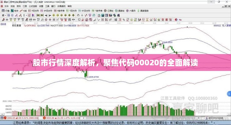 股市行情深度解析，聚焦代码00020的全面解读