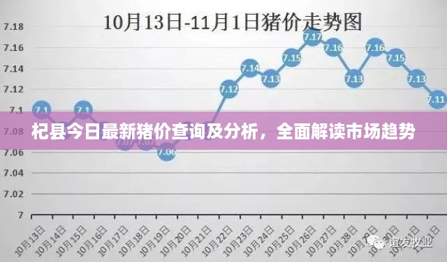 杞县今日最新猪价查询及分析，全面解读市场趋势