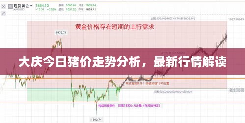 大庆今日猪价走势分析，最新行情解读