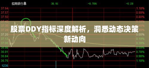 股票DDY指标深度解析，洞悉动态决策新动向