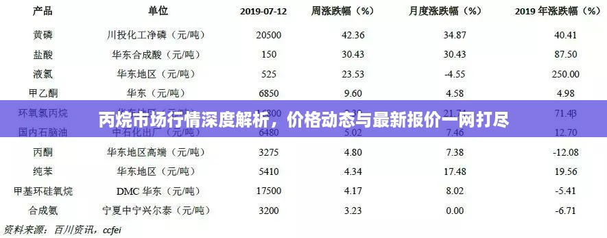 2025年2月20日 第8页