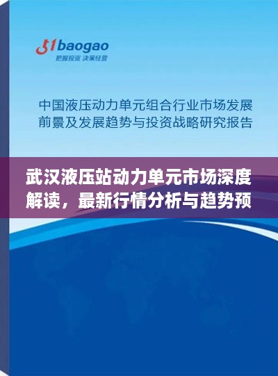 武汉液压站动力单元市场深度解读，最新行情分析与趋势预测