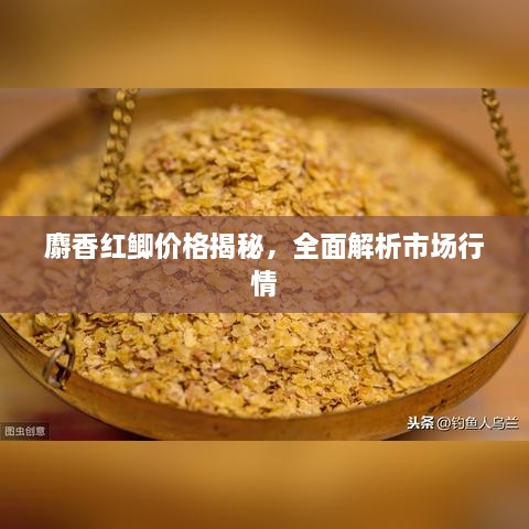 麝香红鲫价格揭秘，全面解析市场行情