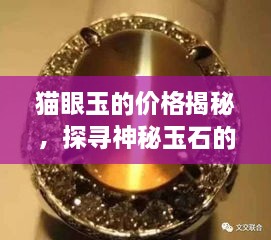 猫眼玉的价格揭秘，探寻神秘玉石的珍贵价值