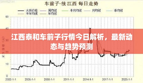 江西泰和车前子行情今日解析，最新动态与趋势预测