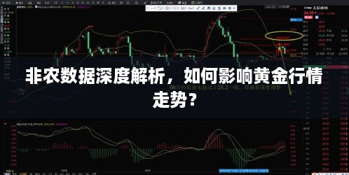 非农数据深度解析，如何影响黄金行情走势？