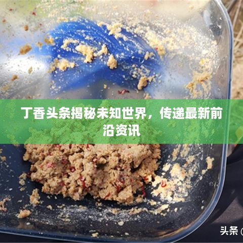 丁香头条揭秘未知世界，传递最新前沿资讯