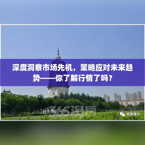 深度洞察市场先机，策略应对未来趋势——你了解行情了吗？