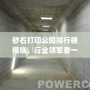 砂石打印公司排行榜揭晓，行业领军者一览