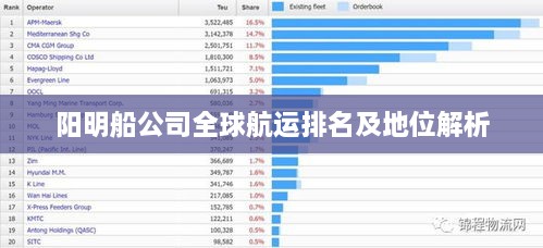 阳明船公司全球航运排名及地位解析