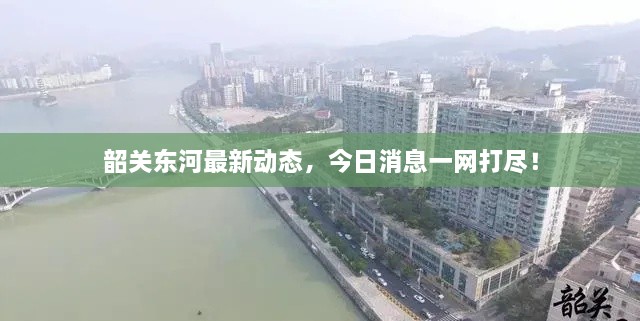 韶关东河最新动态，今日消息一网打尽！