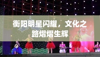 衡阳明星闪耀，文化之路熠熠生辉