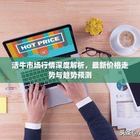 活牛市场行情深度解析，最新价格走势与趋势预测