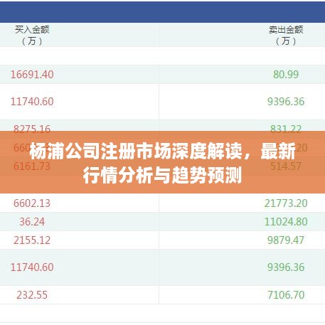 杨浦公司注册市场深度解读，最新行情分析与趋势预测