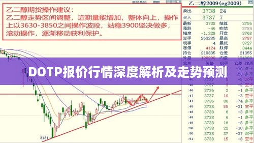 DOTP报价行情深度解析及走势预测