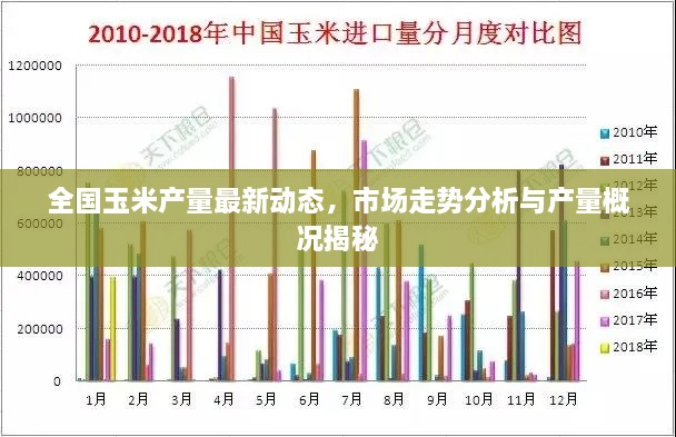 全国玉米产量最新动态，市场走势分析与产量概况揭秘