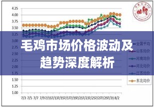 毛鸡市场价格波动及趋势深度解析