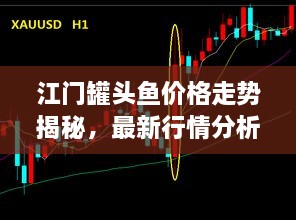 江门罐头鱼价格走势揭秘，最新行情分析