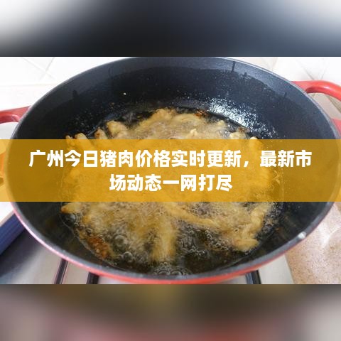 广州今日猪肉价格实时更新，最新市场动态一网打尽